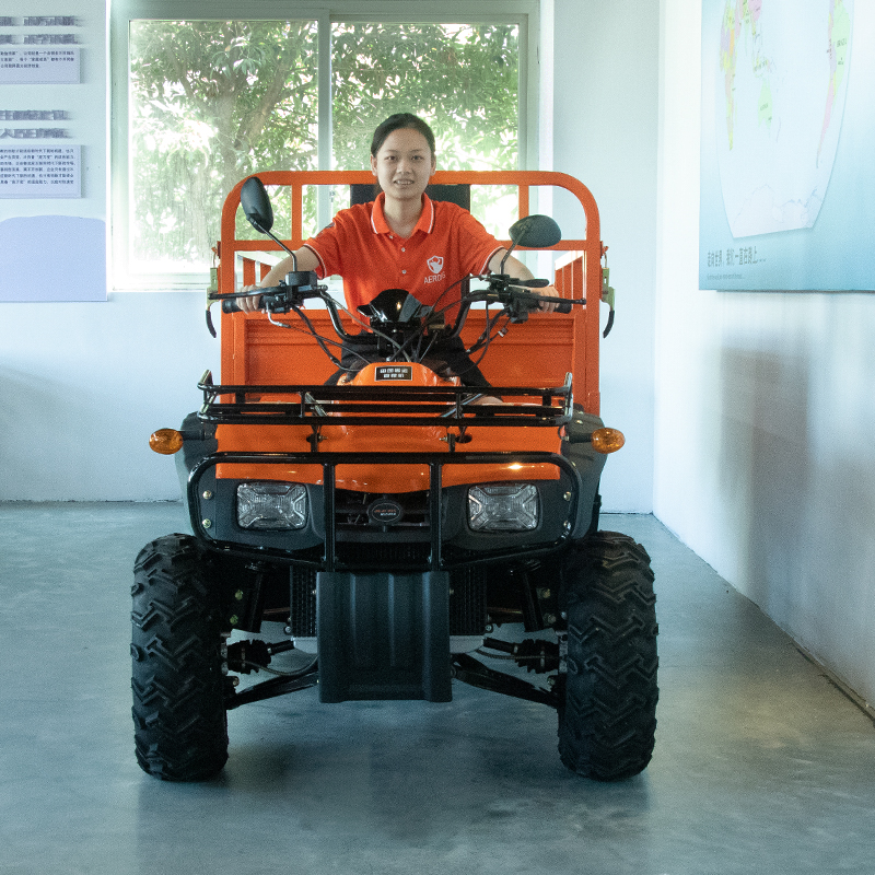 Outdoor Adventure Quad Biking - Electric 4x4 Farm Big Quad Bike