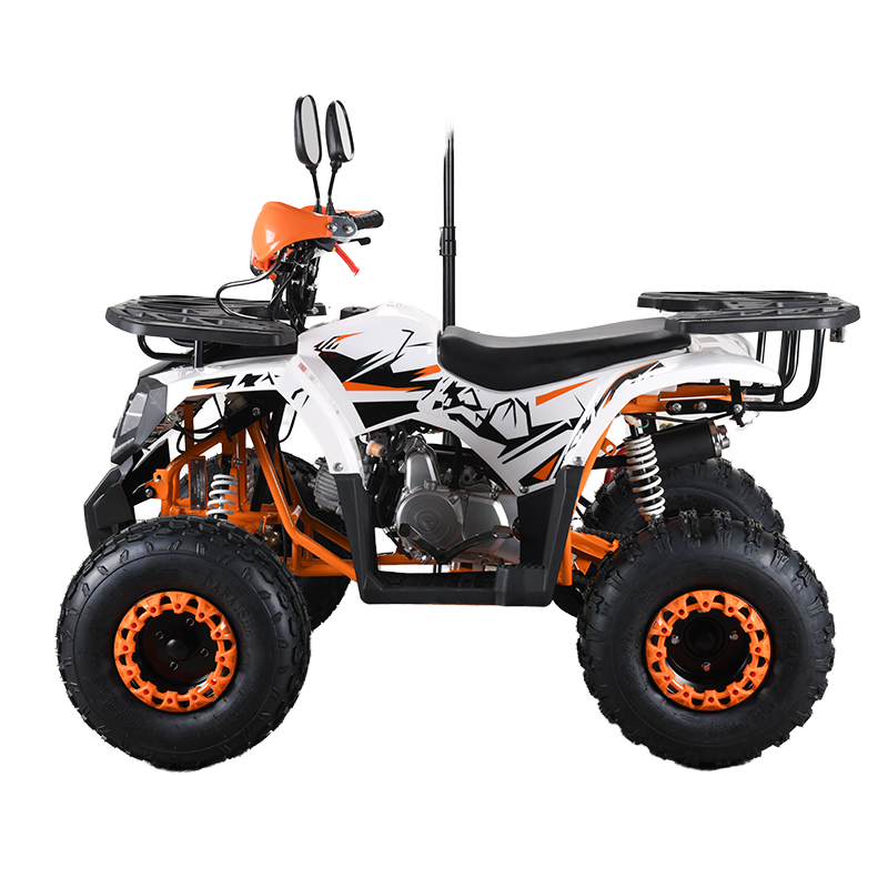 110cc CE EPA  ATV Adult 4-Whee – Outdoor Adventure Quad Biking recenzja i cena