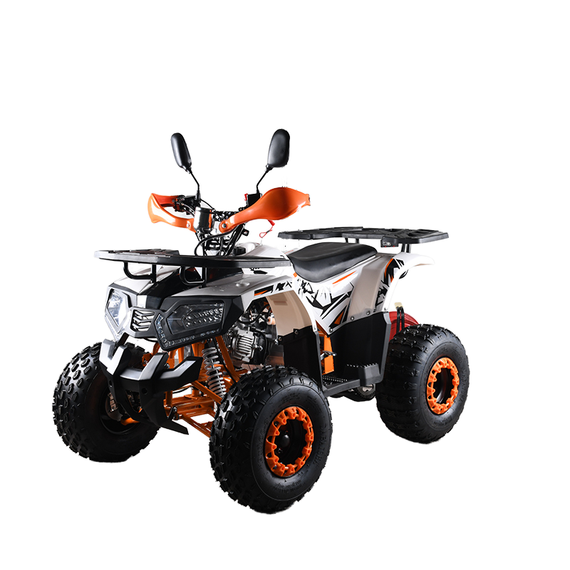 110cc CE EPA  ATV Adult 4-Whee – Outdoor Adventure Quad Biking recenzja i cena