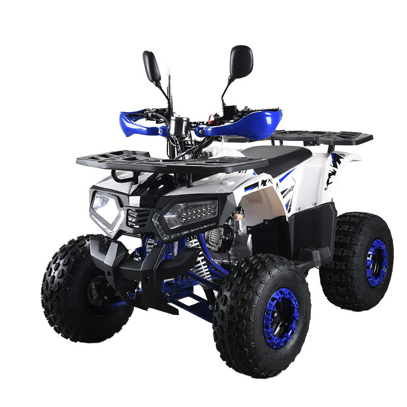 110cc CE EPA  ATV Adult 4-Whee – Outdoor Adventure Quad Biking recenzja i cena
