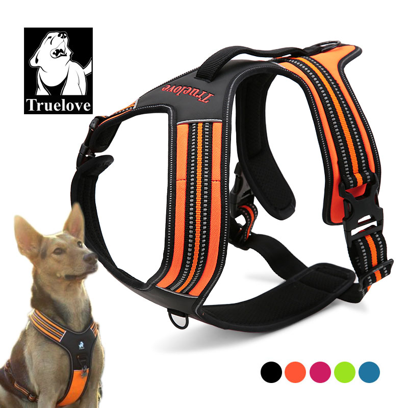 Truelove Sport Nylon Reflectiv – Outdoor Adventure Xl recenzja i cena