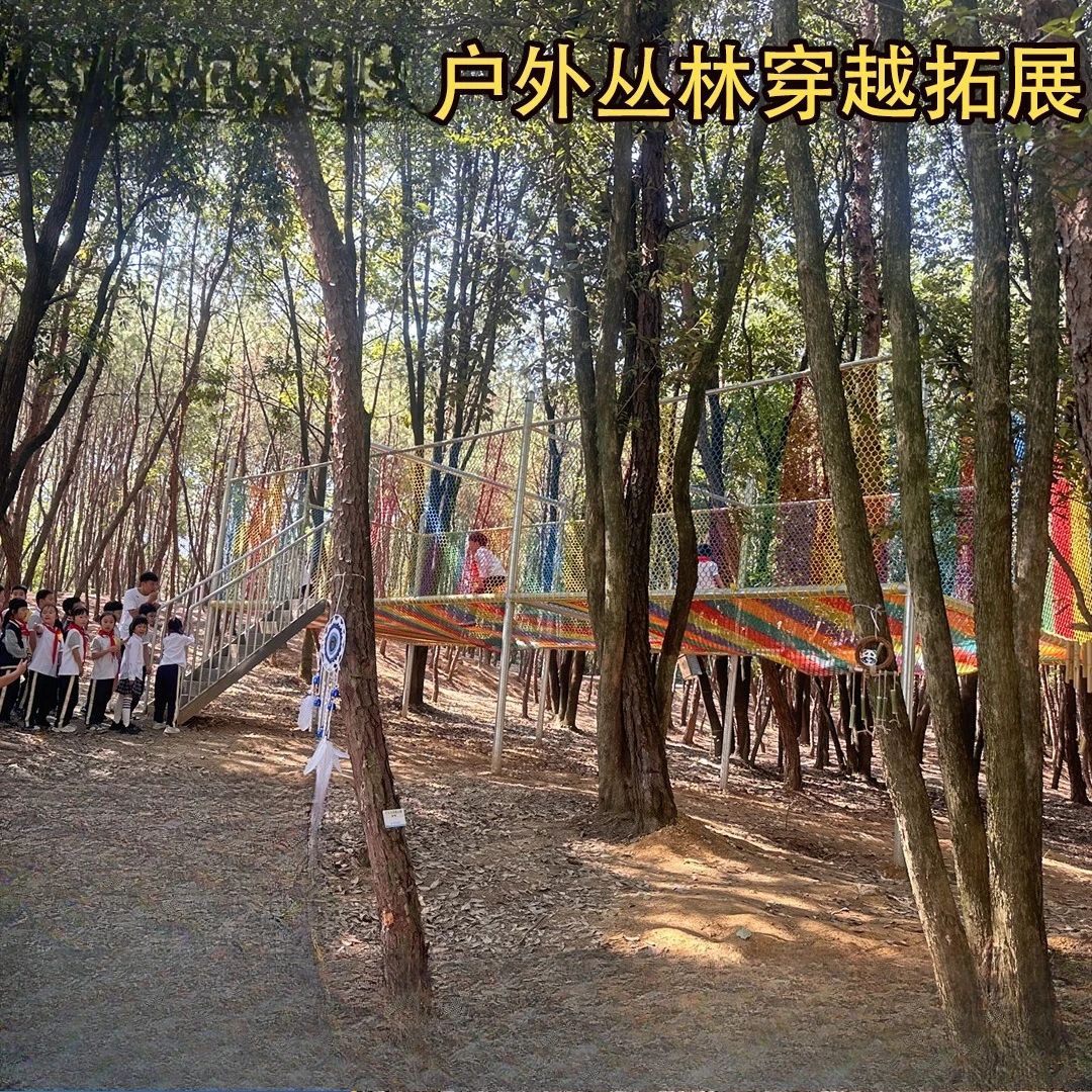 Jungle Crossing Expansion Equi – Outdoor Adventure Zipline recenzja i cena