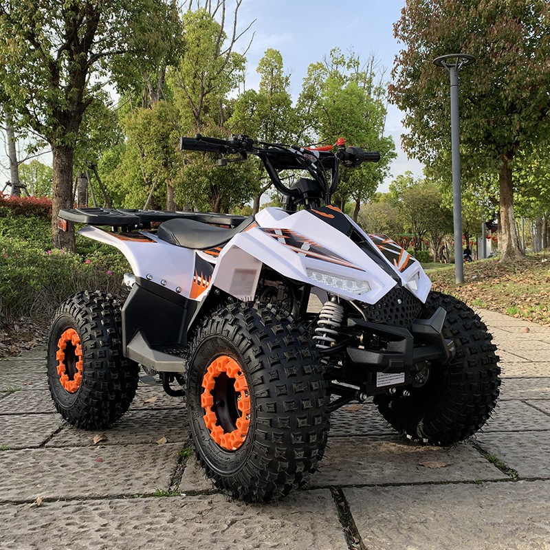 125CC ATV, Small Falcon All-Te – Outdoor Adventure Quad Biking recenzja i cena