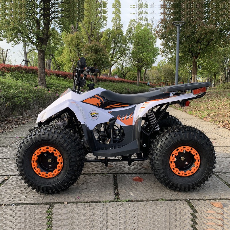 125CC ATV, Small Falcon All-Te – Outdoor Adventure Quad Biking recenzja i cena