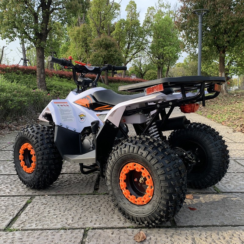 125CC ATV, Small Falcon All-Te – Outdoor Adventure Quad Biking recenzja i cena