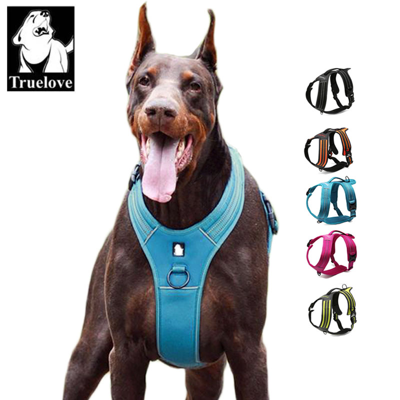 Truelove Sport Nylon Reflectiv – Outdoor Adventure Xl recenzja i cena